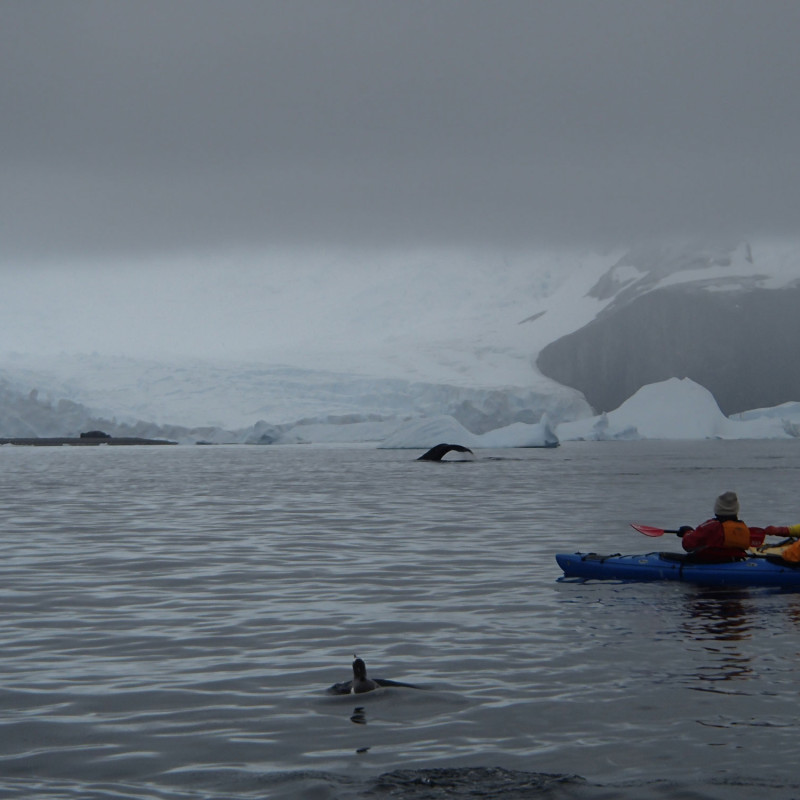 Active Family Member Rich Coulson in Antarctica