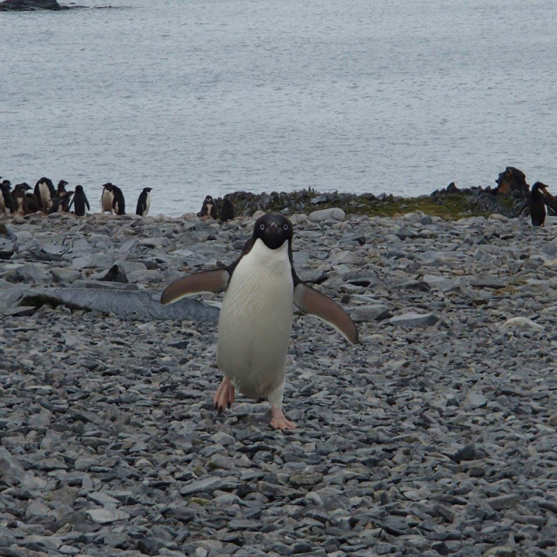 Active Family Member Rich Coulson in Antarctica