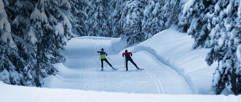 Cross Country Ski, Ski, Winter Sport