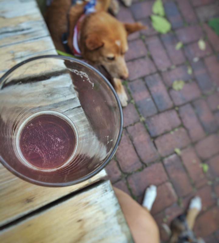 Active Family, Portland, Brew, Dogs